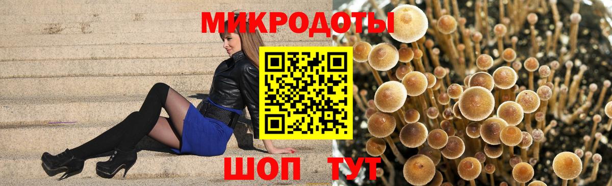 Псилоцибиновые грибы GOLDEN TEACHER  Галлюциногенные грибы GOLDEN TEACHER  Южно-Сахалинск  Вход с VPN 
